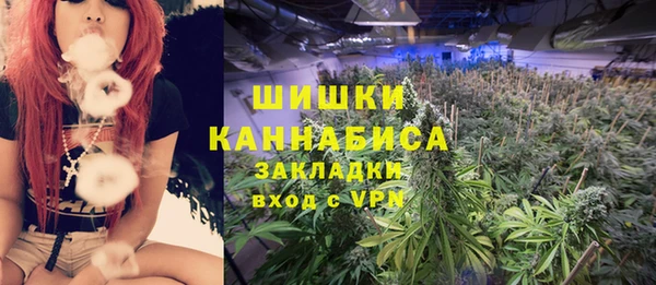 мет Арсеньев