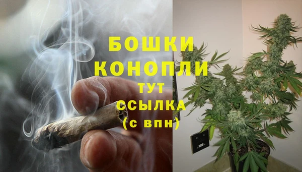 мет Арсеньев