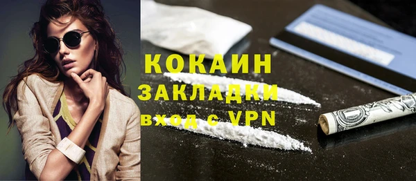 молекула духа Каменка