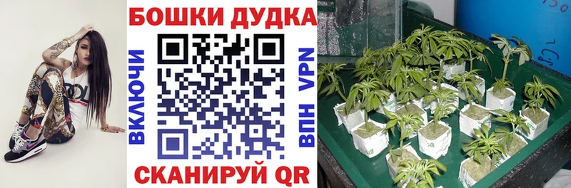 где найти наркотики  Реутов  МАРИХУАНА AK-47 